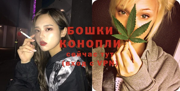 хмурый Михайловск