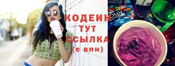хмурый Михайловск
