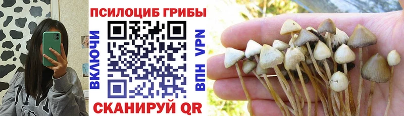 Галлюциногенные грибы прущие грибы Яблоновский
